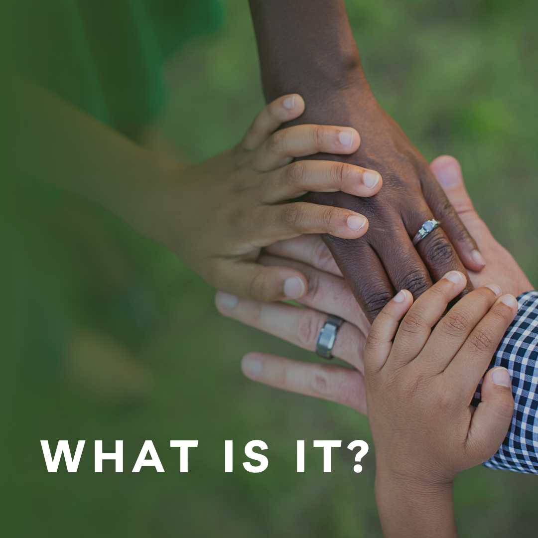Hands of different colours holding each other in support.